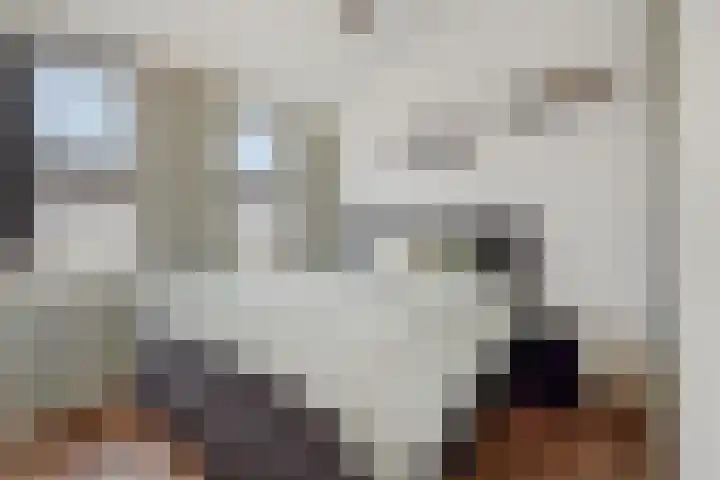 Groote Wielenlaan 144 Rosmalen thumbnail 20