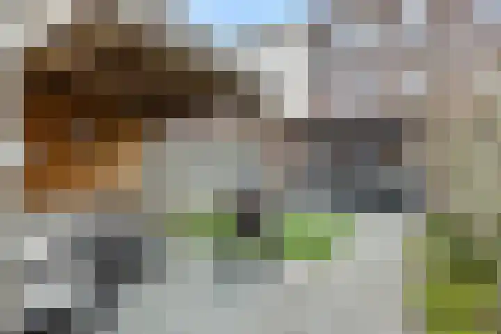 Groote Wielenlaan 144 Rosmalen thumbnail 21