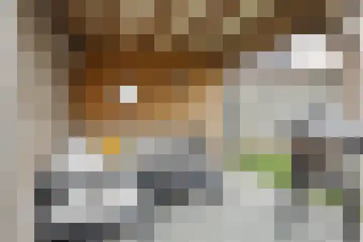 Groote Wielenlaan 144 Rosmalen thumbnail 23