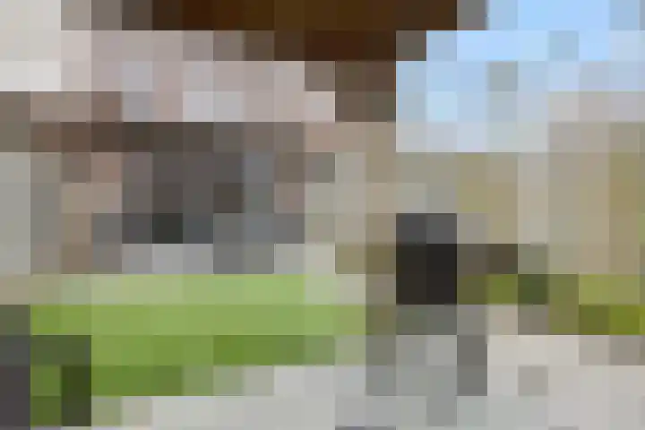 Groote Wielenlaan 144 Rosmalen thumbnail 24