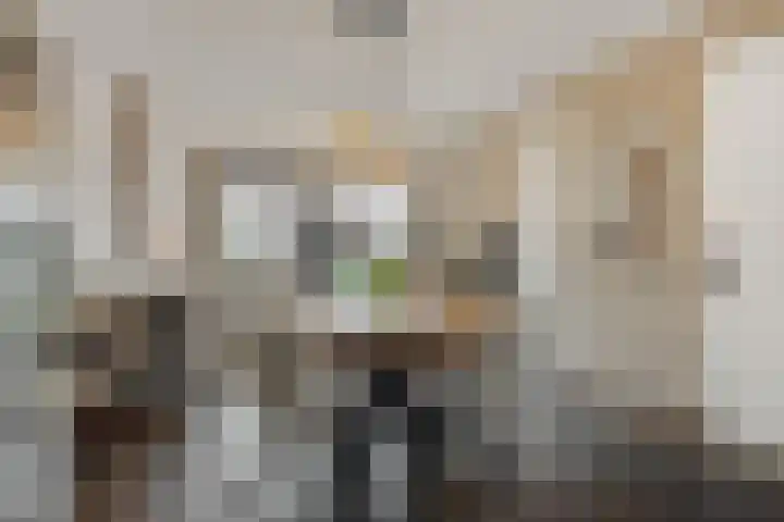 Groote Wielenlaan 144 Rosmalen thumbnail 4