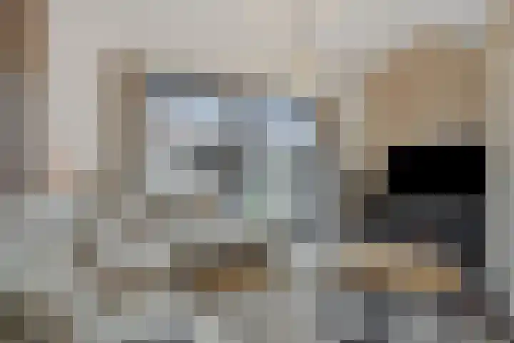 Groote Wielenlaan 144 Rosmalen thumbnail 5