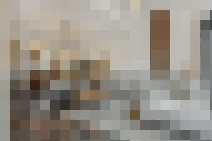 Groote Wielenlaan 144 Rosmalen thumbnail 6