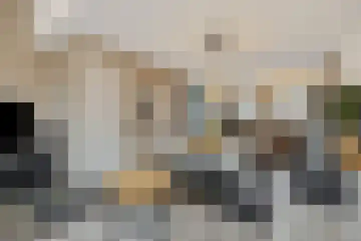 Groote Wielenlaan 144 Rosmalen thumbnail 7