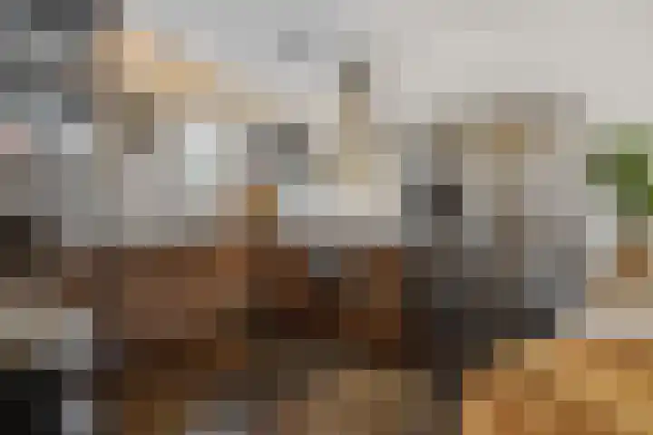 Groote Wielenlaan 144 Rosmalen thumbnail 8