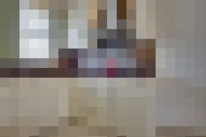 Groote Wielenlaan 154 Rosmalen thumbnail 13