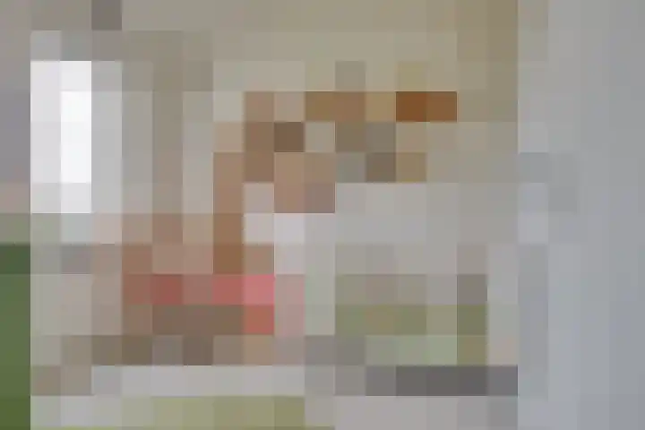 Groote Wielenlaan 154 Rosmalen thumbnail 23