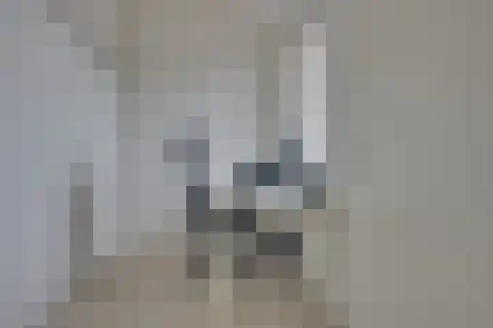 Groote Wielenlaan 154 Rosmalen thumbnail 25