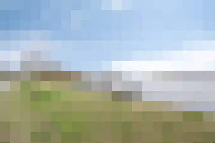 Groote Wielenlaan 154 Rosmalen thumbnail 34
