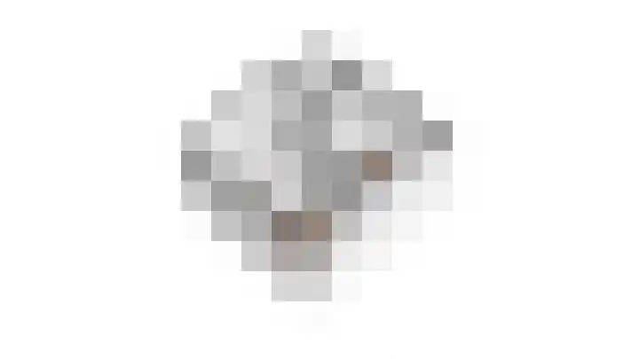 Groote Wielenlaan 154 Rosmalen thumbnail 47