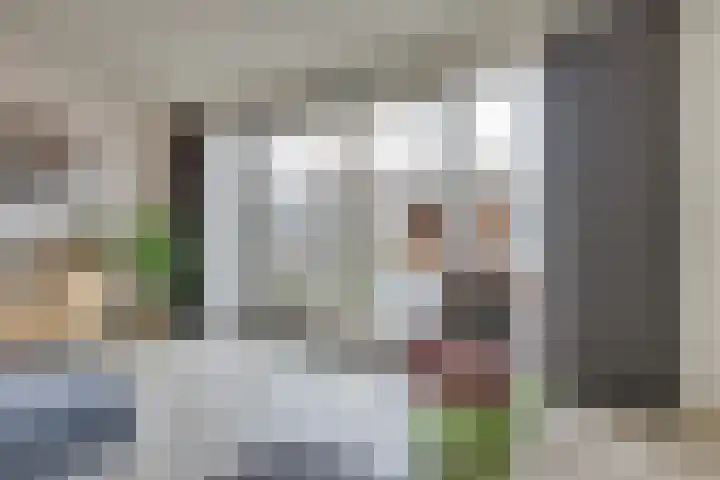 Groote Wielenlaan 154 Rosmalen thumbnail 9