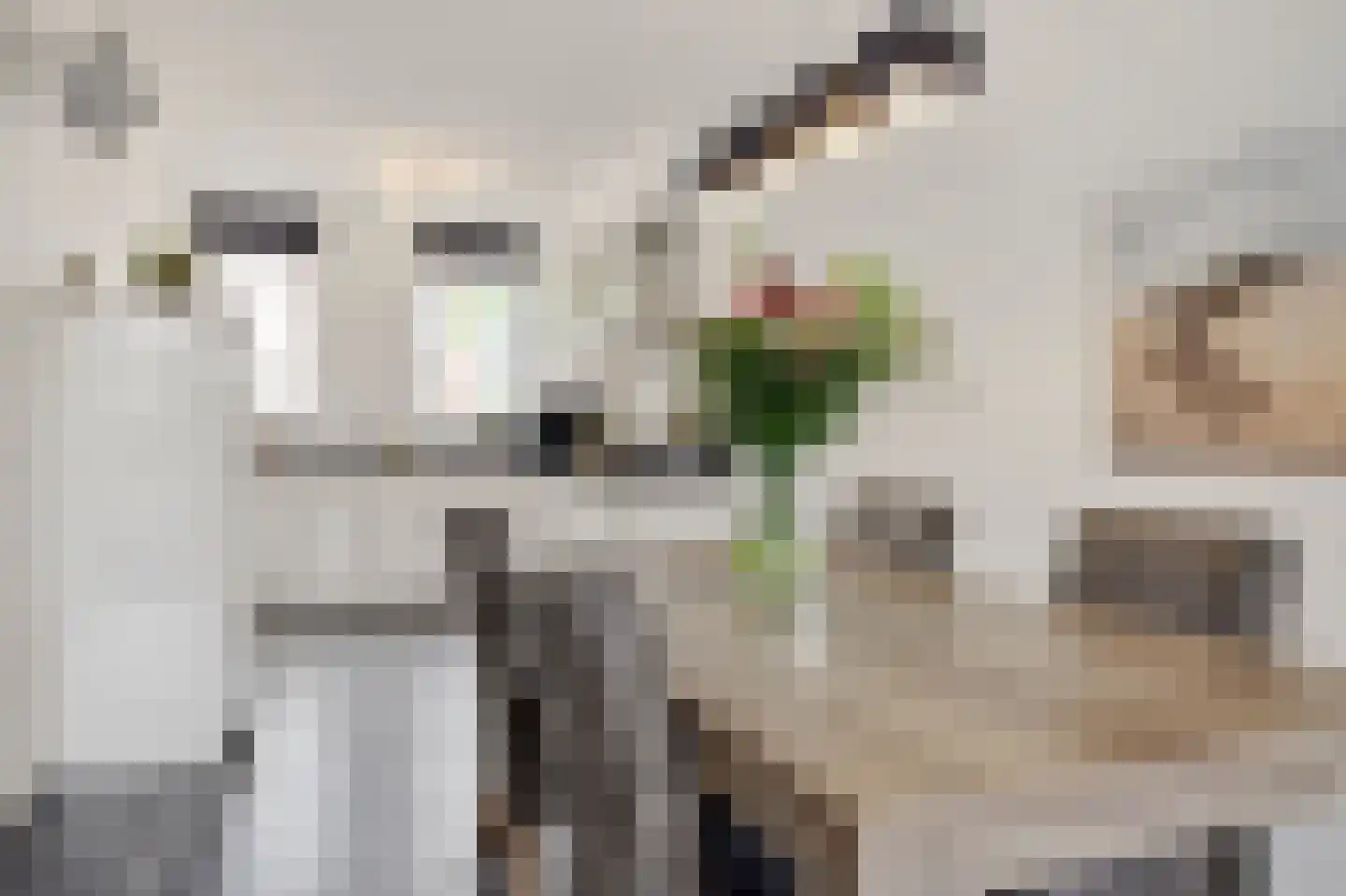 Groote Wielenlaan 186 Rosmalen thumbnail 10