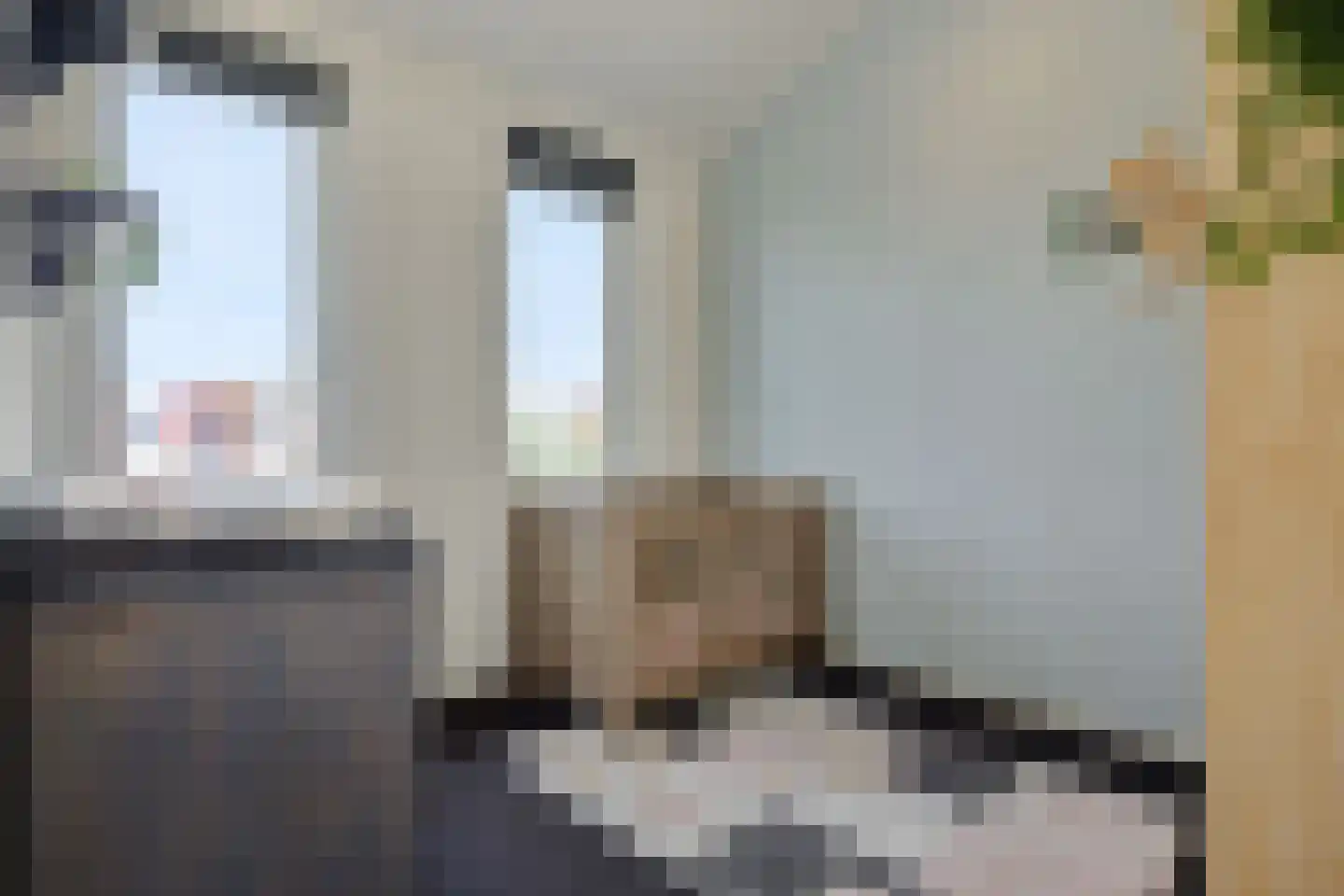 Groote Wielenlaan 186 Rosmalen thumbnail 22