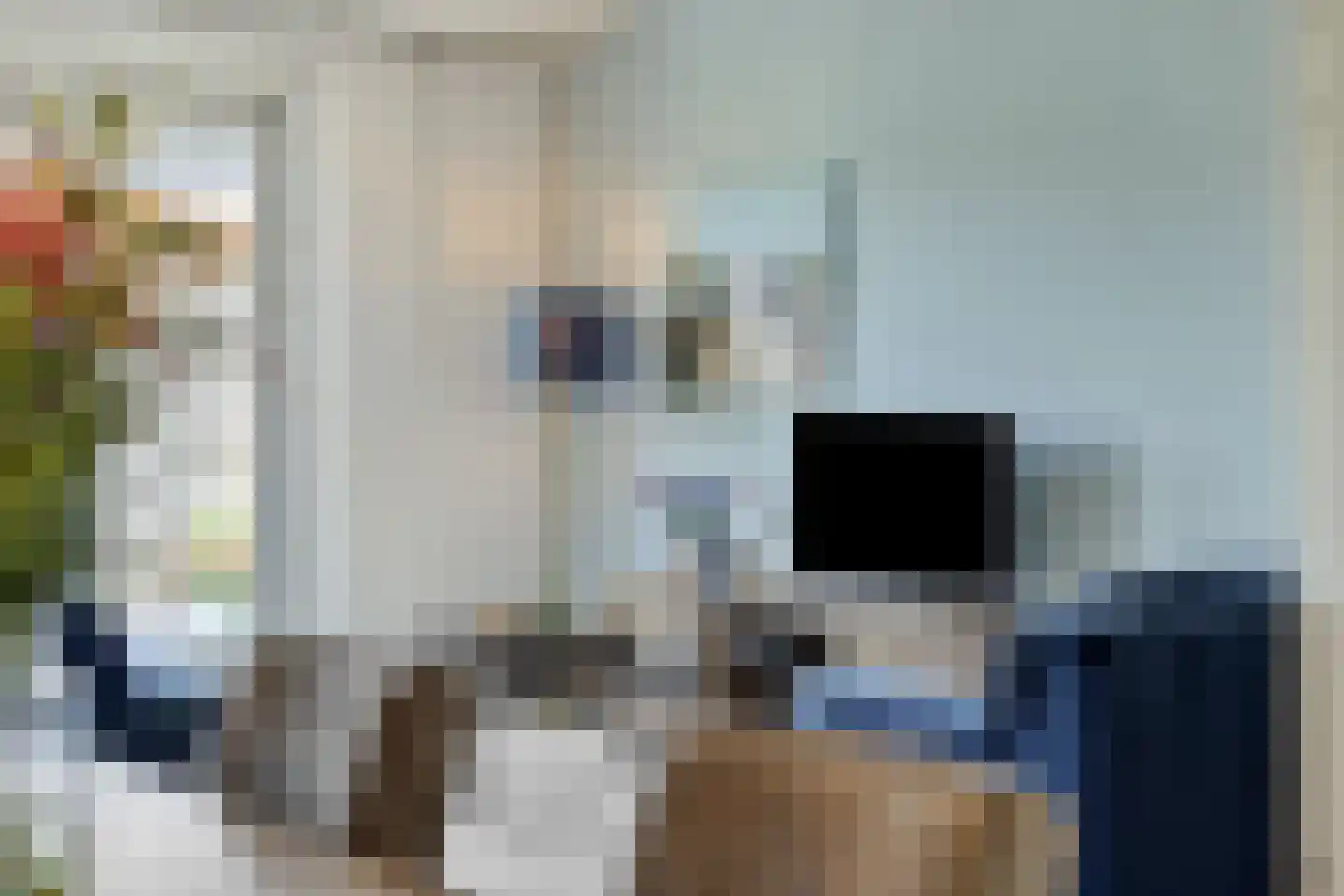 Groote Wielenlaan 186 Rosmalen thumbnail 7