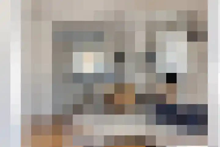Groote Wielenlaan 314 Rosmalen thumbnail 10