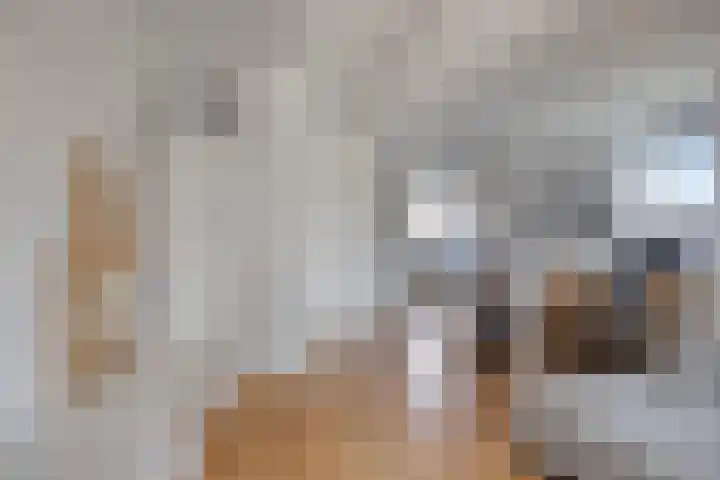 Groote Wielenlaan 314 Rosmalen thumbnail 11