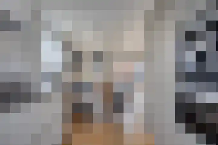 Groote Wielenlaan 314 Rosmalen thumbnail 15