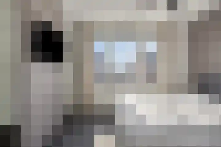 Groote Wielenlaan 314 Rosmalen thumbnail 19