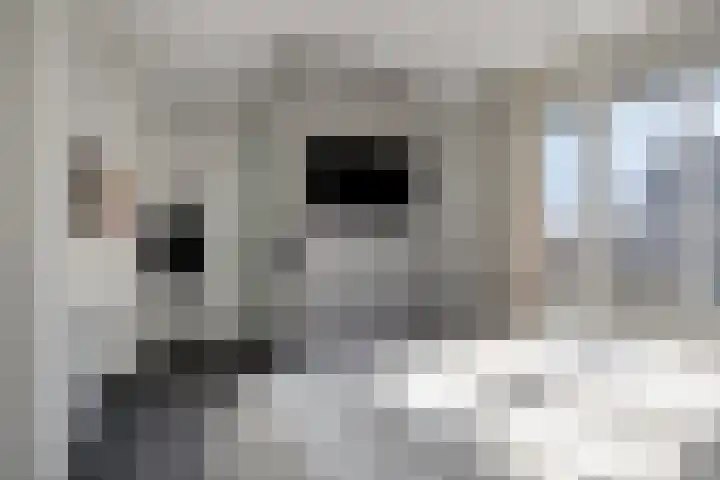 Groote Wielenlaan 314 Rosmalen thumbnail 21