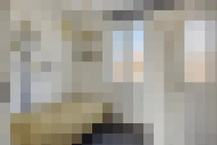 Groote Wielenlaan 314 Rosmalen thumbnail 24