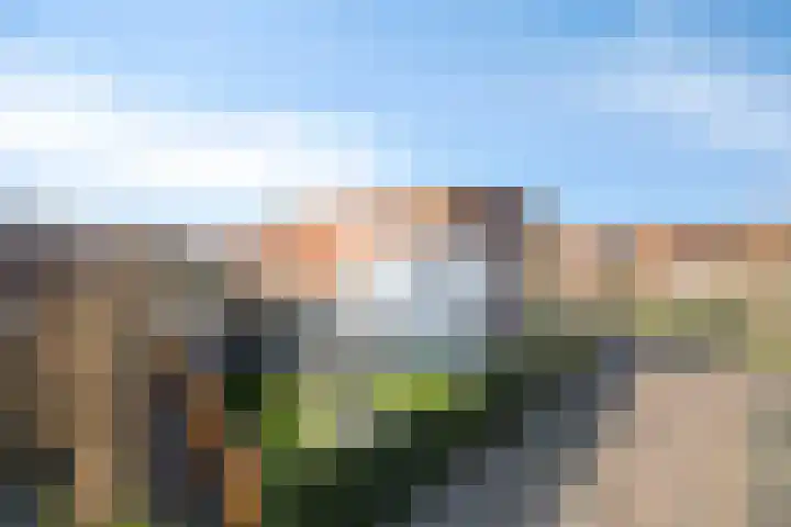 Groote Wielenlaan 314 Rosmalen thumbnail 29