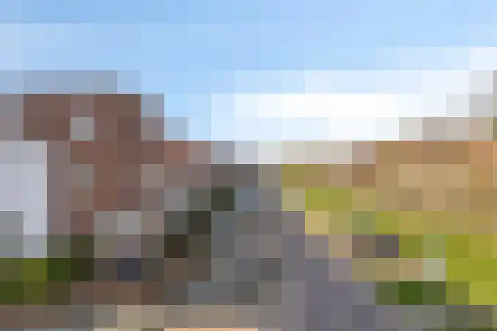 Groote Wielenlaan 314 Rosmalen thumbnail 39