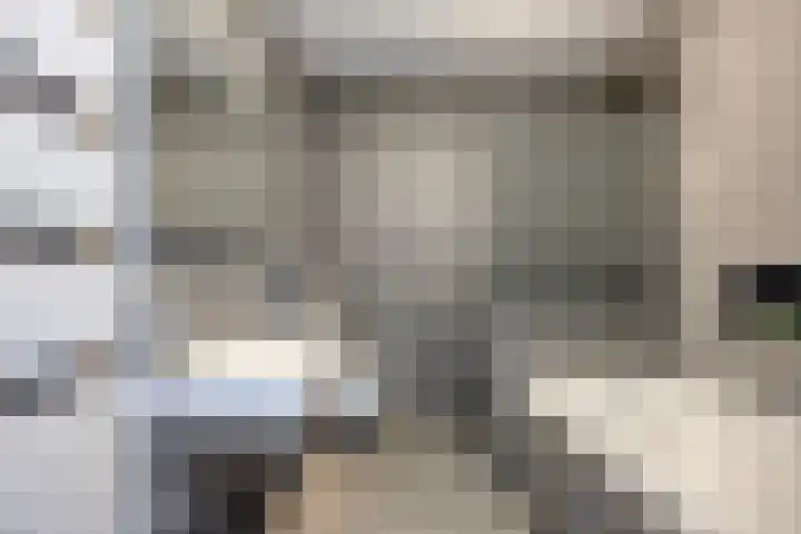 Groote Wielenlaan 314 Rosmalen thumbnail 4