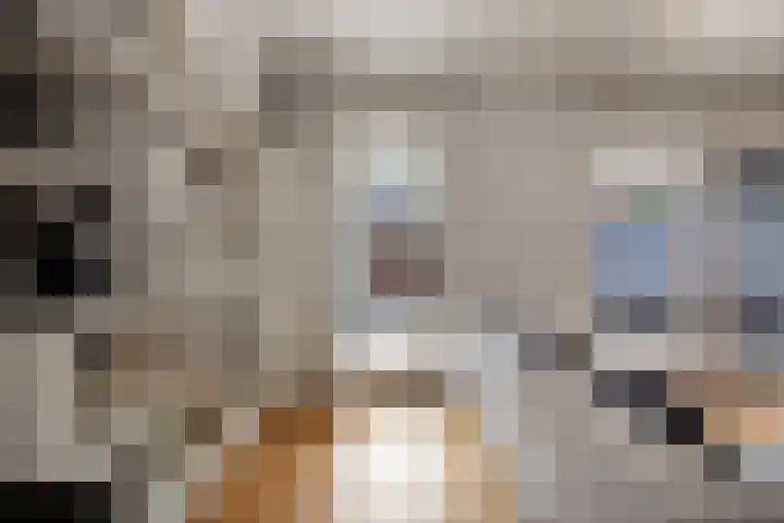 Groote Wielenlaan 314 Rosmalen thumbnail 9