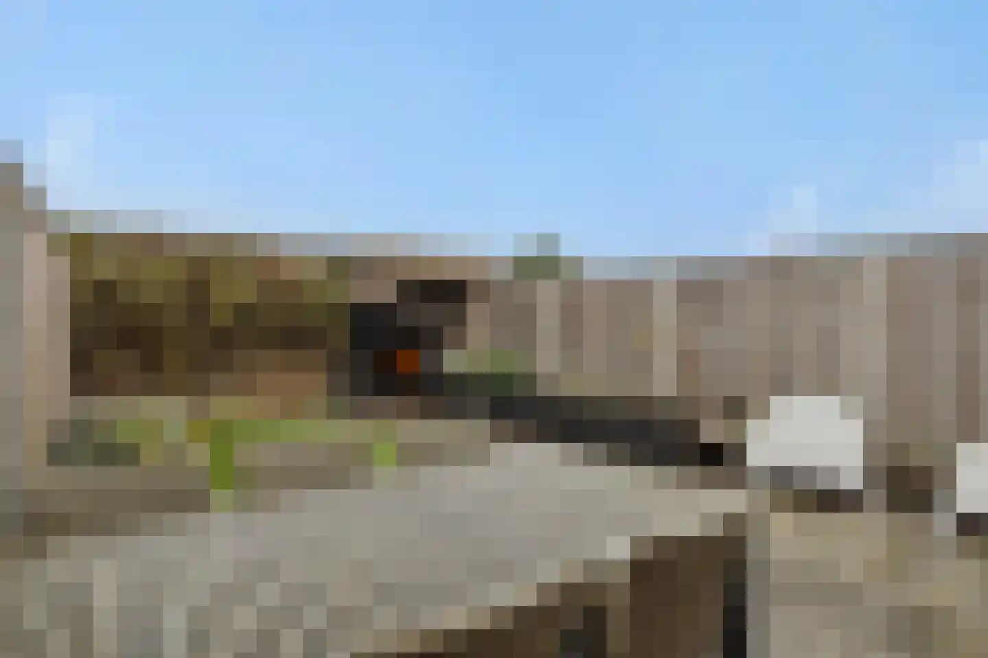 Groote Wielenlaan 315 Rosmalen thumbnail 31