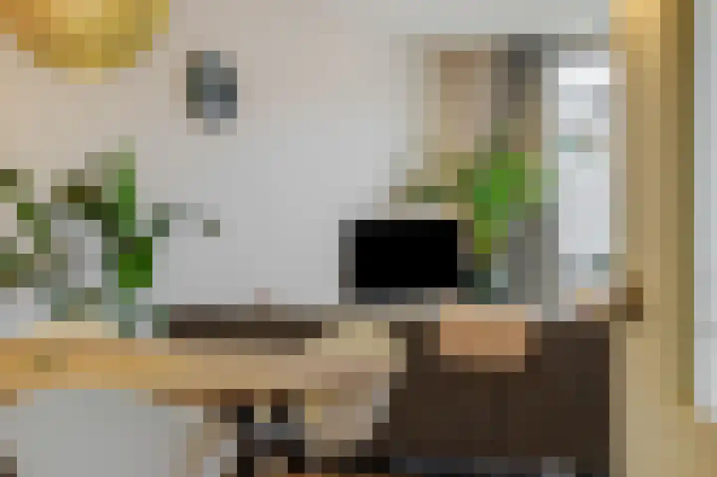 Groote Wielenlaan 315 Rosmalen thumbnail 8