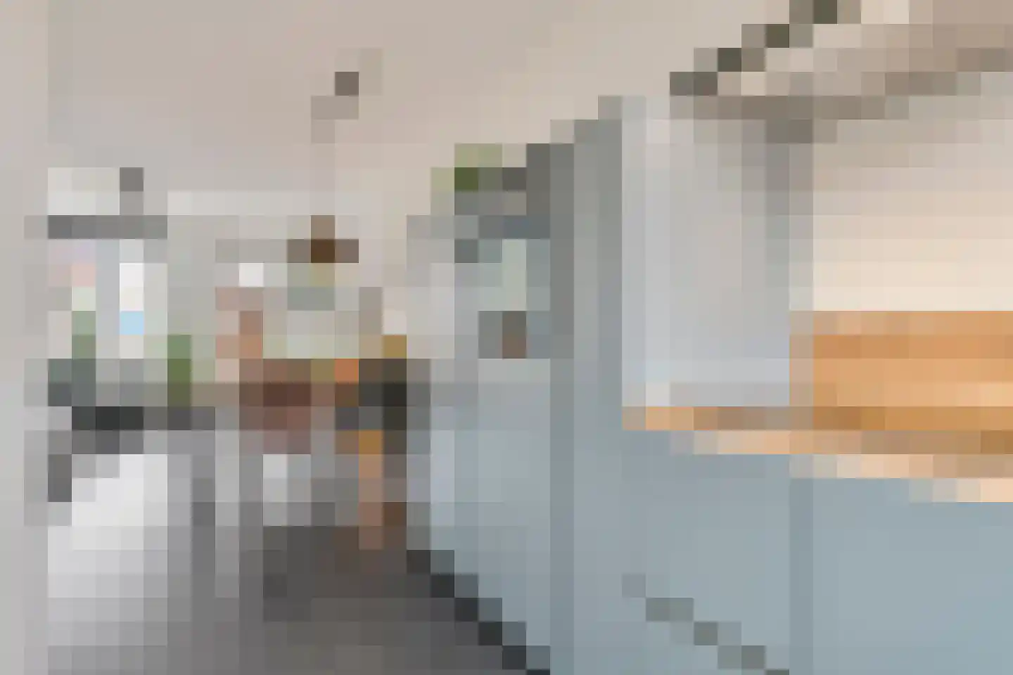 Groote Wielenlaan 332 Rosmalen thumbnail 12