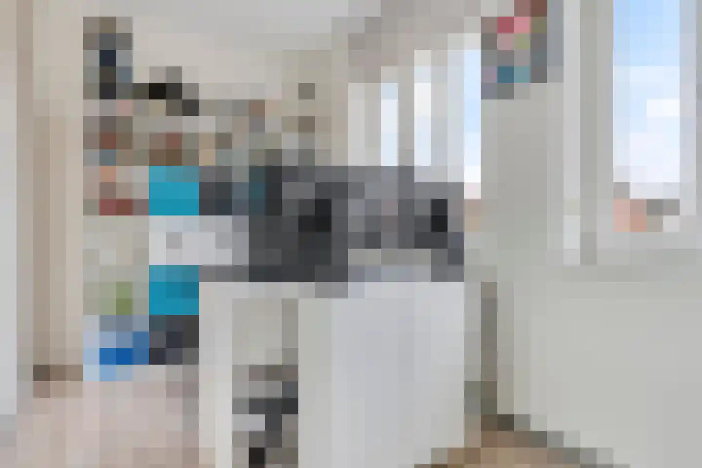 Groote Wielenlaan 332 Rosmalen thumbnail 25
