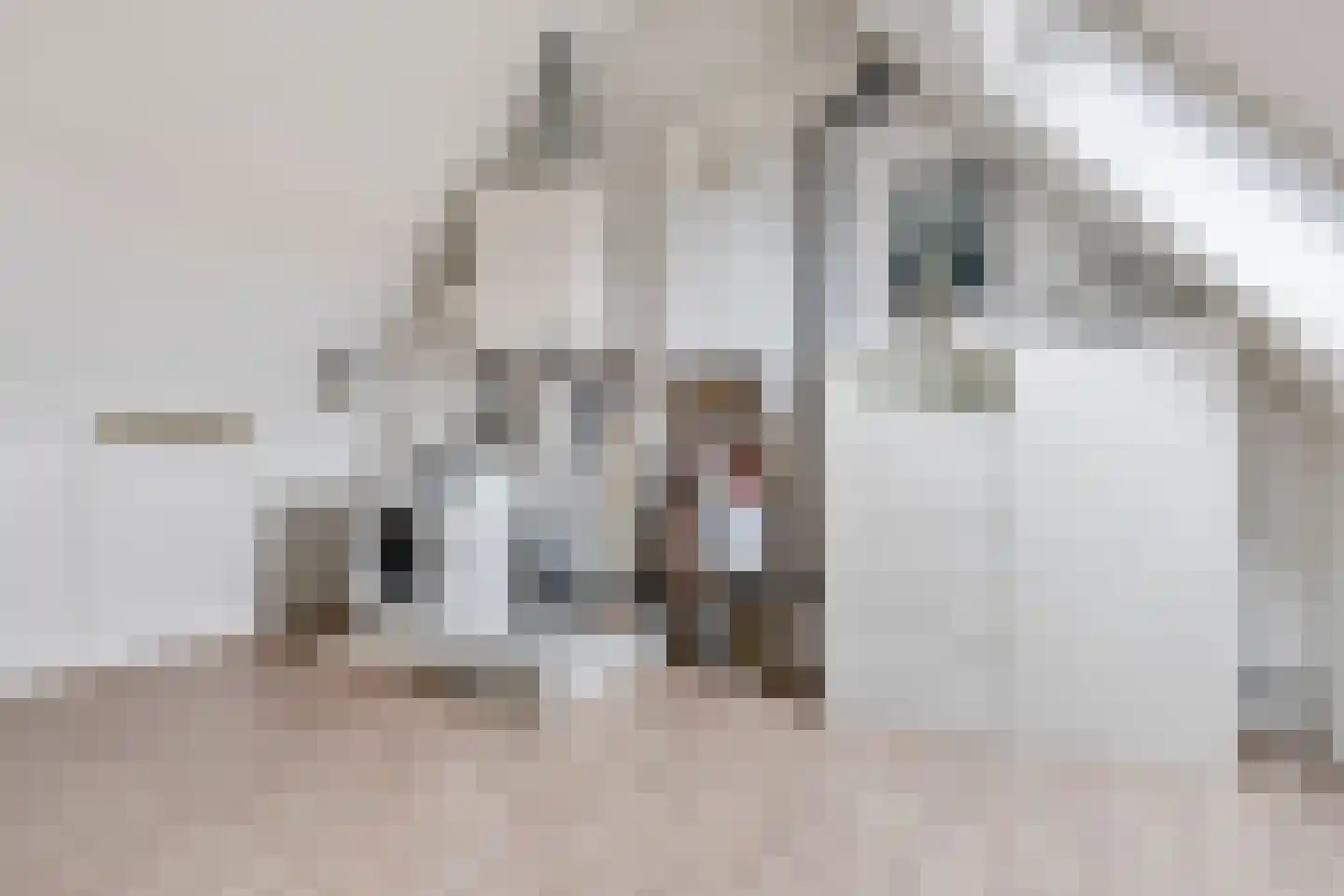 Groote Wielenlaan 332 Rosmalen thumbnail 32