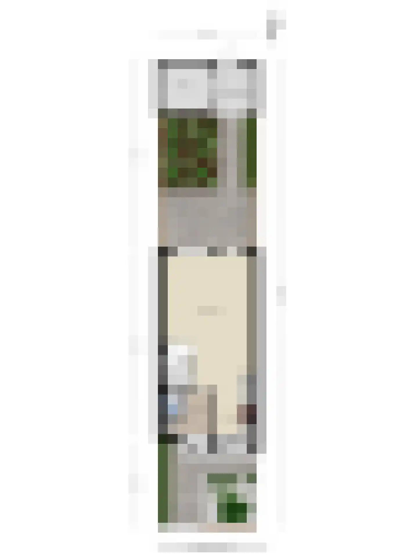Groote Wielenlaan 332 Rosmalen thumbnail 39