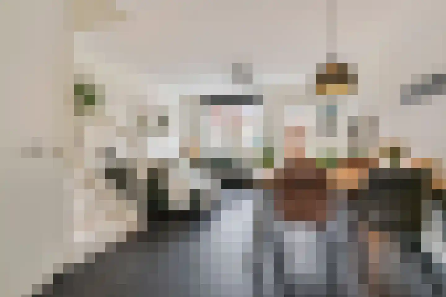 Groote Wielenlaan 332 Rosmalen thumbnail 9