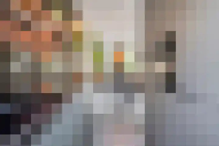 Groote Wielenlaan 342 Rosmalen thumbnail 13