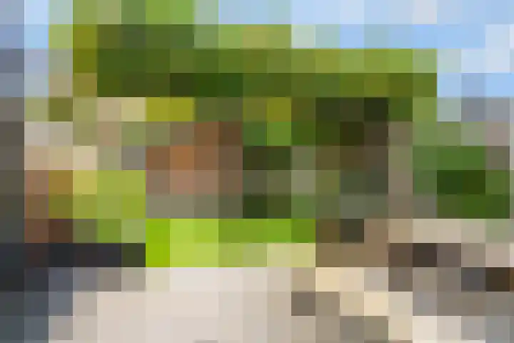Groote Wielenlaan 342 Rosmalen thumbnail 14