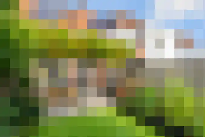 Groote Wielenlaan 342 Rosmalen thumbnail 15