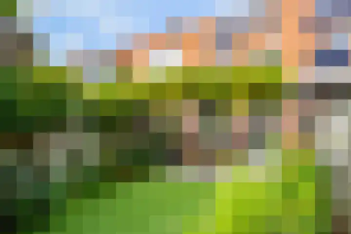 Groote Wielenlaan 342 Rosmalen thumbnail 17