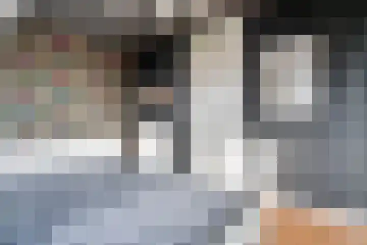 Groote Wielenlaan 342 Rosmalen thumbnail 20