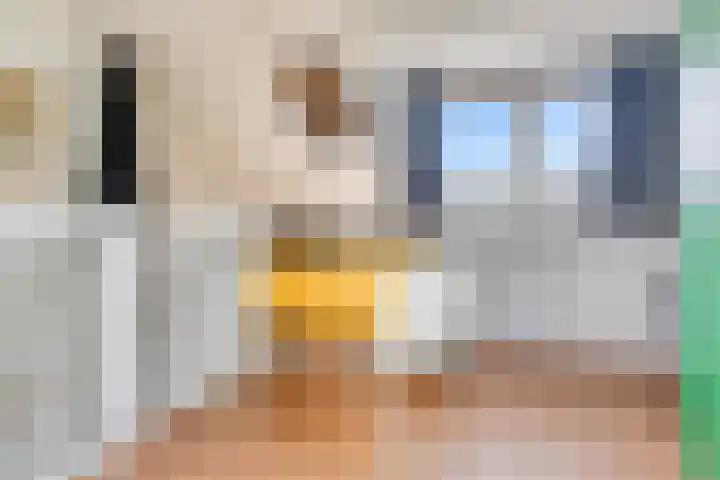 Groote Wielenlaan 342 Rosmalen thumbnail 30