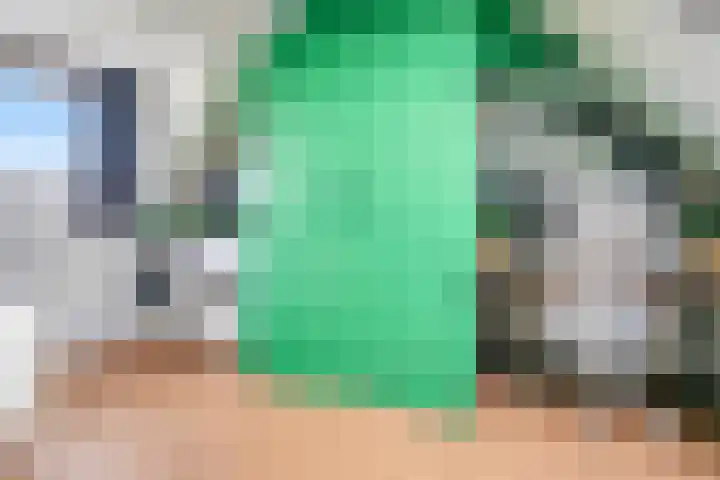 Groote Wielenlaan 342 Rosmalen thumbnail 31