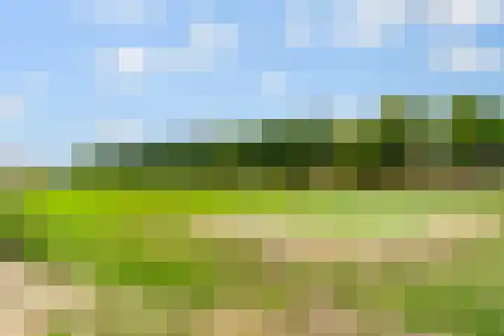 Groote Wielenlaan 342 Rosmalen thumbnail 36