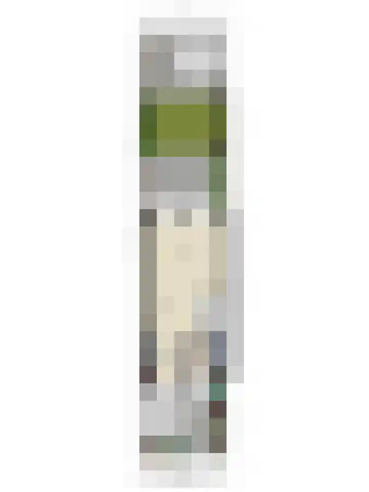 Groote Wielenlaan 342 Rosmalen thumbnail 37