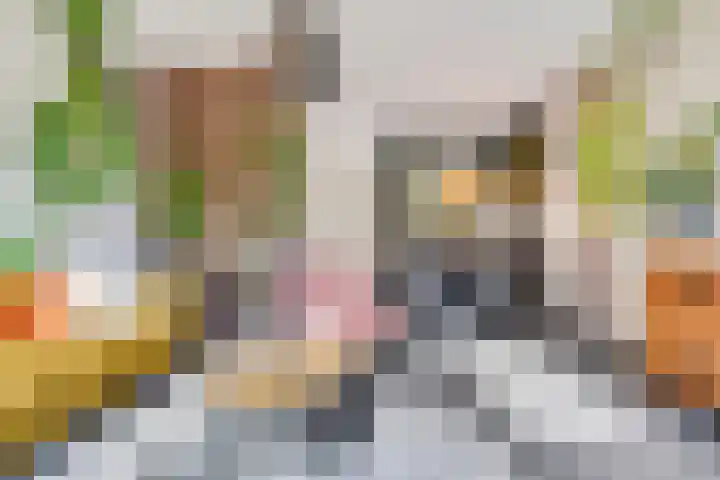 Groote Wielenlaan 342 Rosmalen thumbnail 5