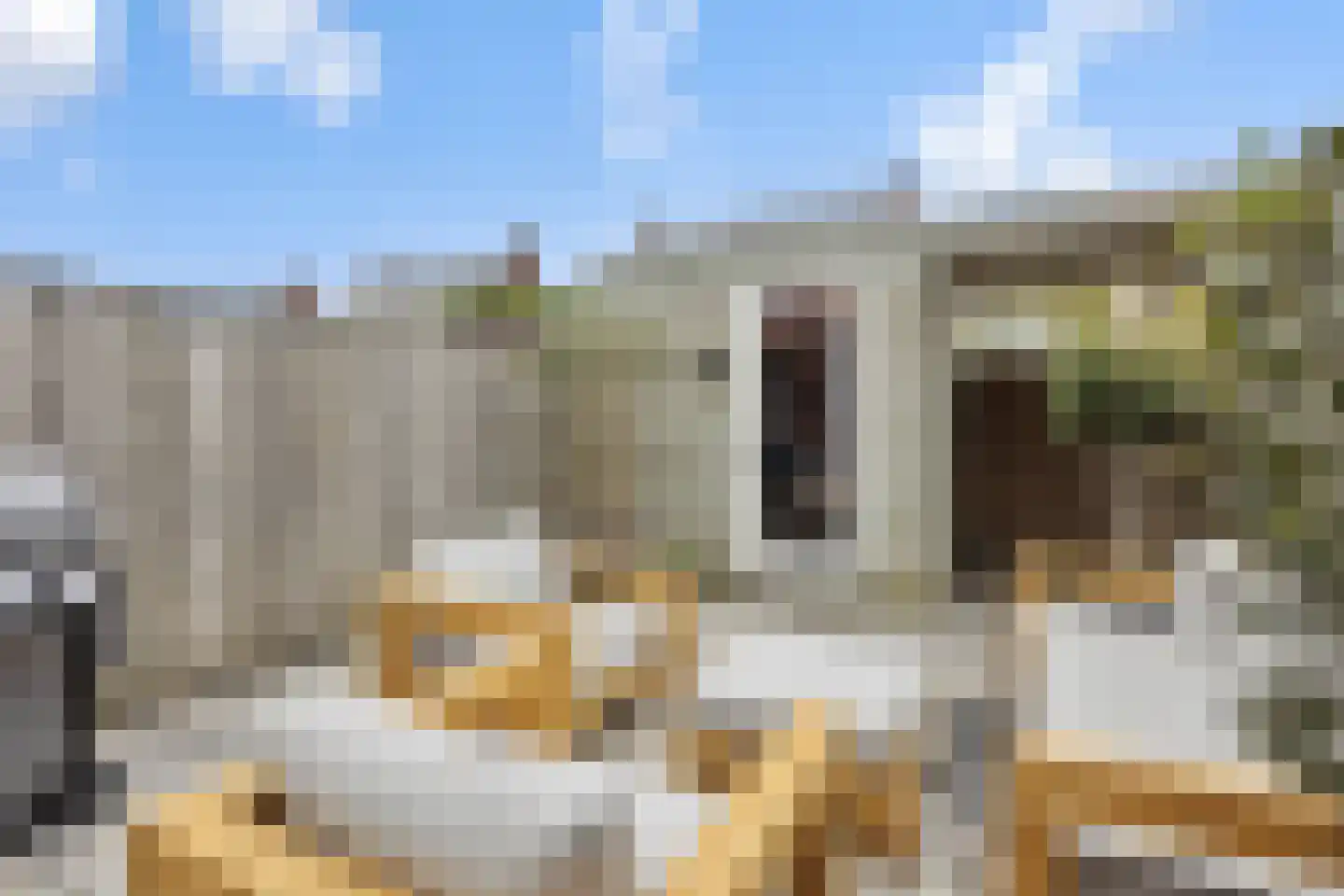 Groote Wielenlaan 358 Rosmalen thumbnail 26