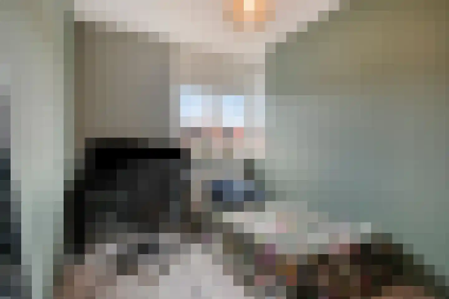 Groote Wielenlaan 388 Rosmalen thumbnail 21