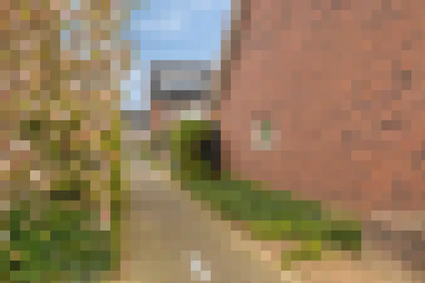 Groote Wielenlaan 388 Rosmalen thumbnail 38