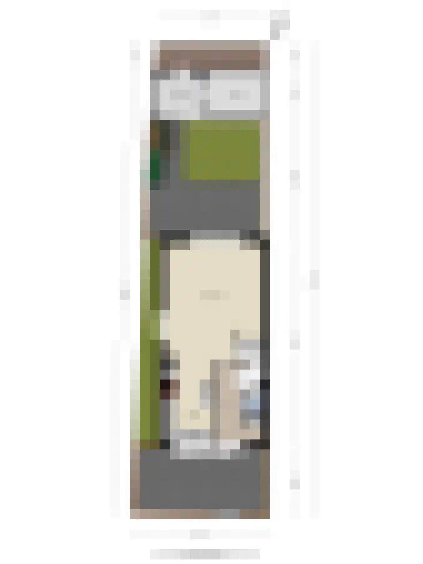 Groote Wielenlaan 388 Rosmalen thumbnail 48