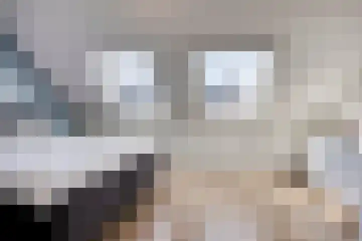 Groote Wielenlaan 402 Rosmalen thumbnail 14